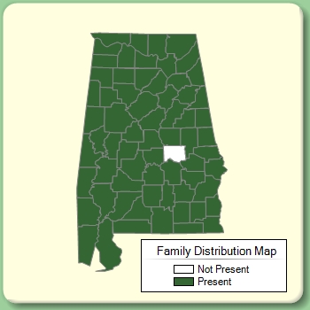 Family Distribution Map