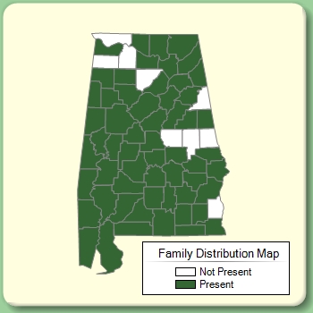 Family Distribution Map