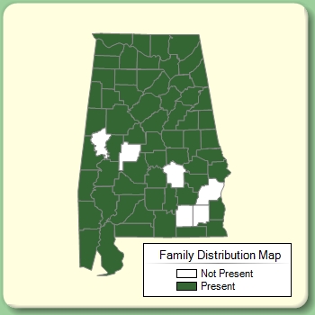 Family Distribution Map