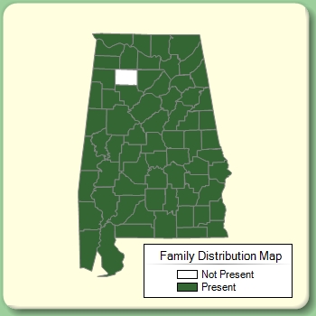 Family Distribution Map