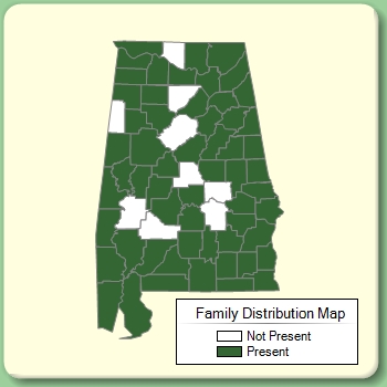 Family Distribution Map