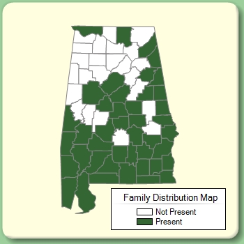 Family Distribution Map