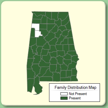 Family Distribution Map