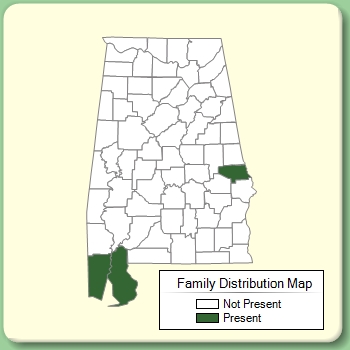 Family Distribution Map