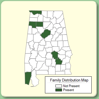 Family Distribution Map