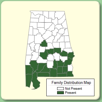 Family Distribution Map