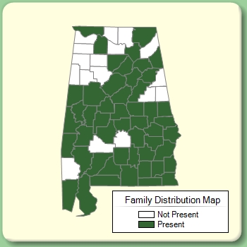 Family Distribution Map