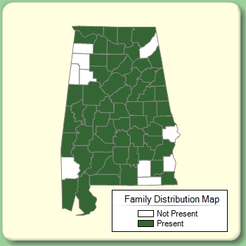 Family Distribution Map