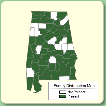 Family Distribution Map