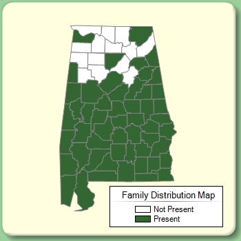 Family Distribution Map