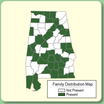 Family Distribution Map