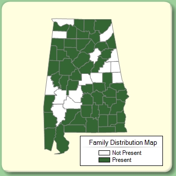 Family Distribution Map