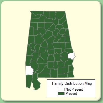 Family Distribution Map