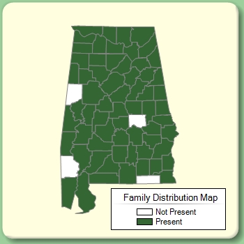 Family Distribution Map