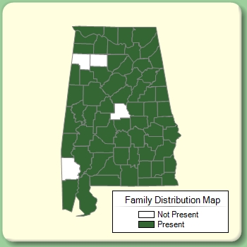 Family Distribution Map