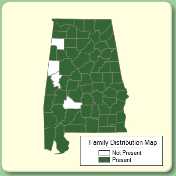 Family Distribution Map