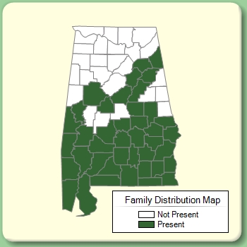 Family Distribution Map