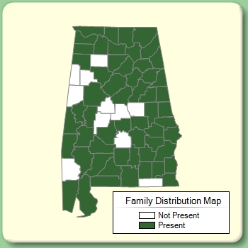 Family Distribution Map