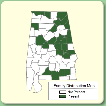 Family Distribution Map