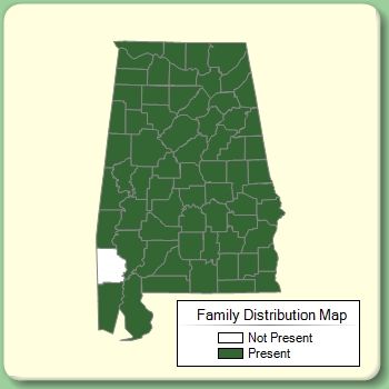 Family Distribution Map