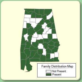 Family Distribution Map