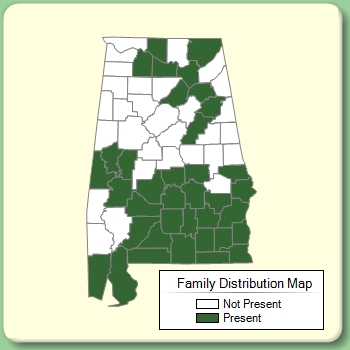 Family Distribution Map