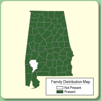 Family Distribution Map