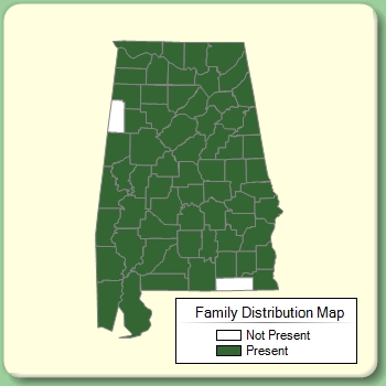 Family Distribution Map