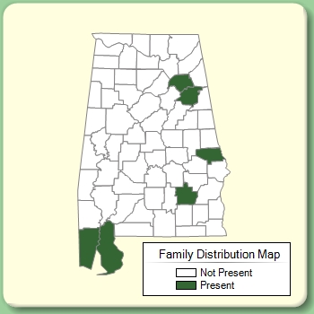 Family Distribution Map