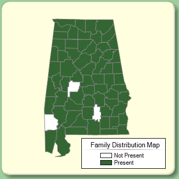 Family Distribution Map