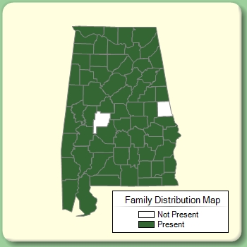 Family Distribution Map