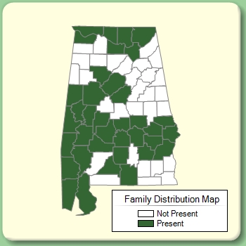 Family Distribution Map