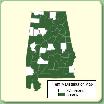 Family Distribution Map