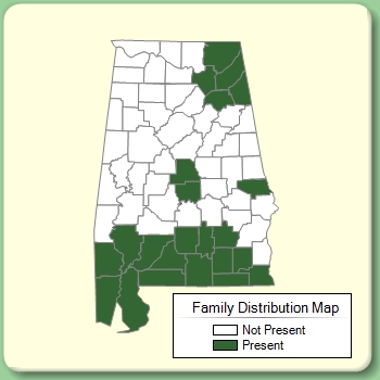 Family Distribution Map