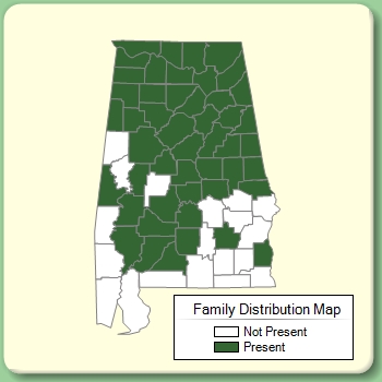 Family Distribution Map