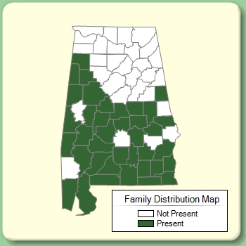 Family Distribution Map