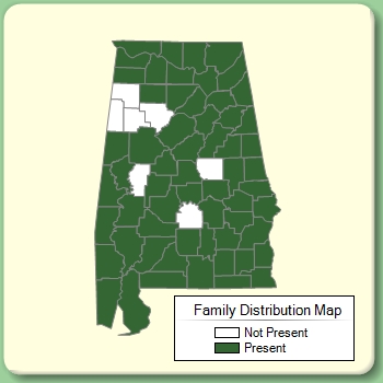 Family Distribution Map