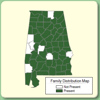 Family Distribution Map