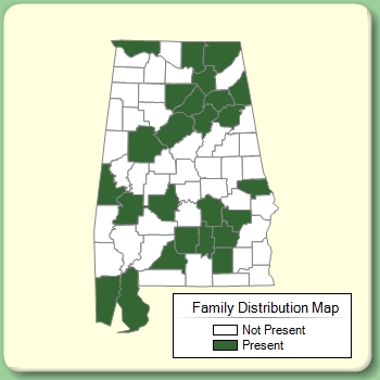 Family Distribution Map