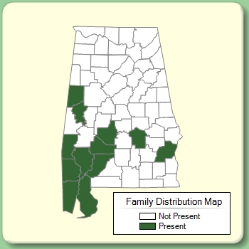 Family Distribution Map