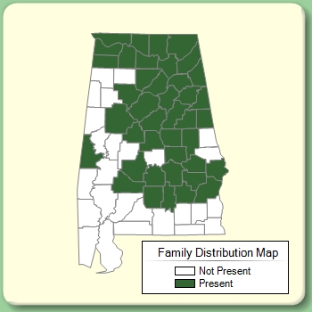 Family Distribution Map