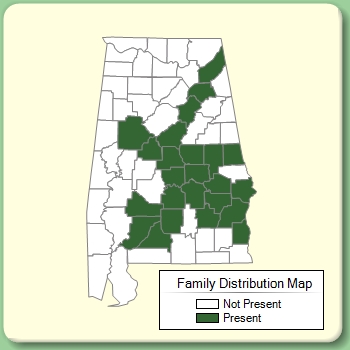 Family Distribution Map