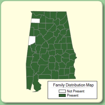 Family Distribution Map