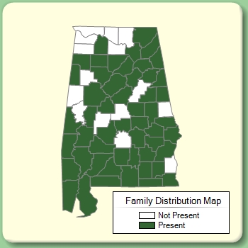 Family Distribution Map