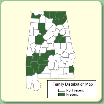 Family Distribution Map