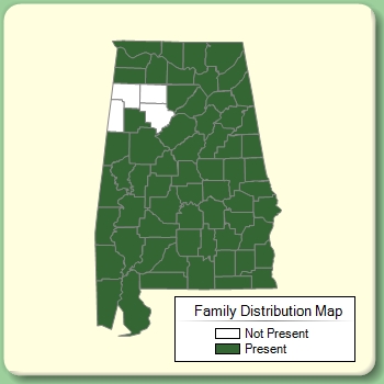 Family Distribution Map