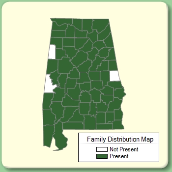 Family Distribution Map