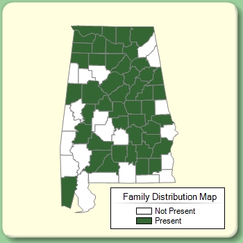 Family Distribution Map