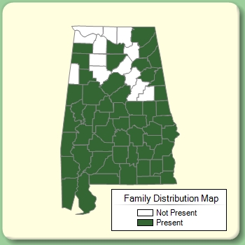 Family Distribution Map