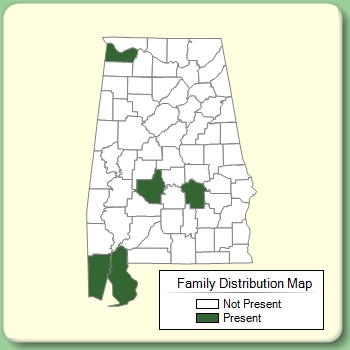 Family Distribution Map